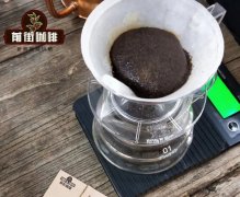 巴拿马 情圣庄园咖啡历史简介 艺伎咖啡风味提点