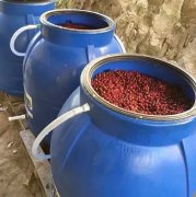 厌氧处理法和传统处理有什么区别？厌氧发酵与无氧处理区别