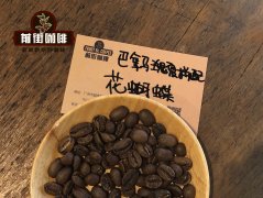 单一产区拼配咖啡豆 哥斯达黎加米拉苏巴拿马花蝴蝶瑰夏拼配