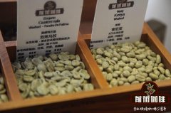 烘焙后的咖啡豆要怎么保存才能避免走味？咖啡豆要多少度储存