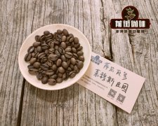 萨尔瓦多咖啡冲煮 如何冲煮黑蜜处理萨尔瓦多莱穆斯庄园咖啡豆