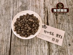 耶加雪菲咖啡冲煮 不同冲煮滤杯冲煮埃塞耶加雪菲碧罗亚咖啡