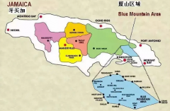 蓝山咖啡 只有水洗处理法的牙买加蓝山咖啡才是正宗的蓝山咖啡吗