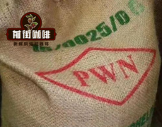 曼特宁和蓝山的区别 口感浓郁的曼特宁和蓝山咖啡应该怎么冲煮？