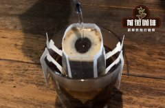 巴西种植的咖啡品种大盘点 巴西除了波旁咖啡还有什么其它品种？