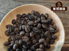 巴西有机咖啡豆巴西塞拉多咖啡庄园 巴西Acaia种是什么咖啡品种