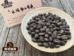 埃塞俄比亚耶加雪菲产区风味 水洗处理法耶加雪菲咖啡豆风味特点