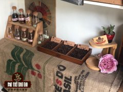 哥斯达黎加精品咖啡塔拉珠产区 水洗处理法塔拉珠产区咖啡风味特
