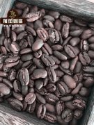 印尼苏门答腊亚齐产区特别咖啡豆品种长身龙果 长身龙果咖啡风味