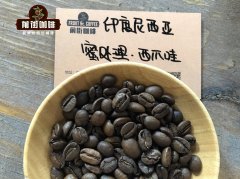 印尼西爪哇精品咖啡产区 印尼蜜处理西爪哇咖啡冲煮风味特点
