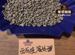 印尼效仿哥伦比亚发展创新处理法 印尼创新处理曼特宁风味如何？