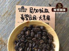 尼加拉瓜精品咖啡新塞哥维亚产区 希望庄园大芒果冲煮风味表现