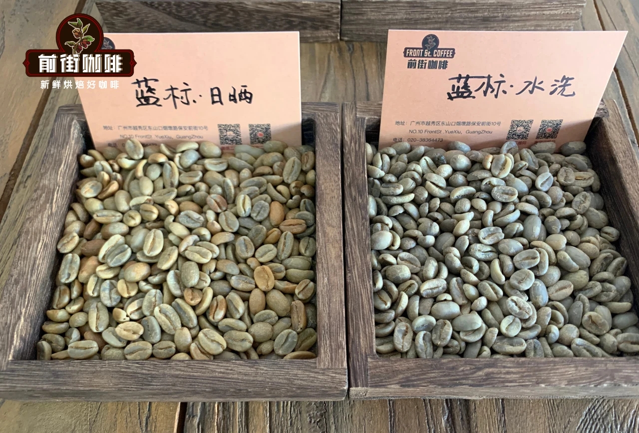 巴拿马翡翠庄园蓝标瑰夏处理法 牙买加蓝山咖啡处理法