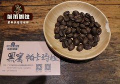 萨尔瓦多的咖啡风味特点介绍 萨尔瓦多什么咖啡最出名