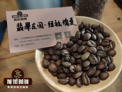 巴拿马波奎特精品咖啡详情介绍 巴拿马瑰夏咖啡豆品质怎么样？