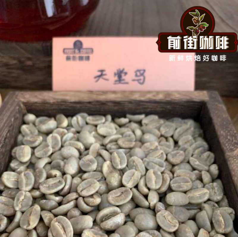 巴布亚新几内亚西格里咖啡品牌故事 天堂鸟咖啡豆品种风味特点