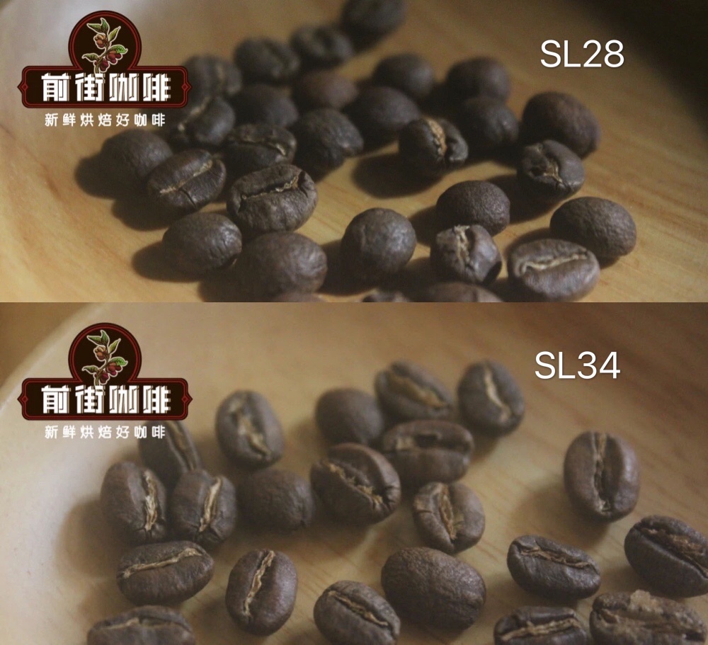 肯尼亚涅里产区和麒麟雅嘉产区咖啡风味区别 肯尼亚咖啡品种介绍