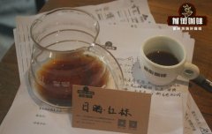如何使用法压壶萃取一杯浓郁的咖啡？法压壶使用指南