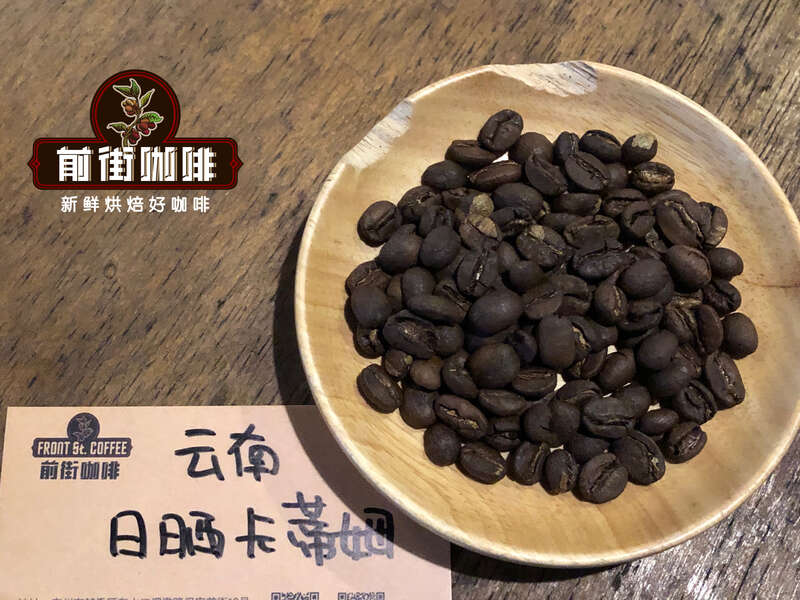 云南保山卡蒂姆咖啡品种介绍 云南红樱桃日晒卡蒂姆冲煮风味描述