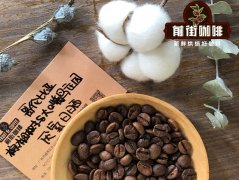 哥伦比亚棕榈树与大嘴鸟庄园咖啡豆 厌氧日晒处理咖啡豆冲煮风味