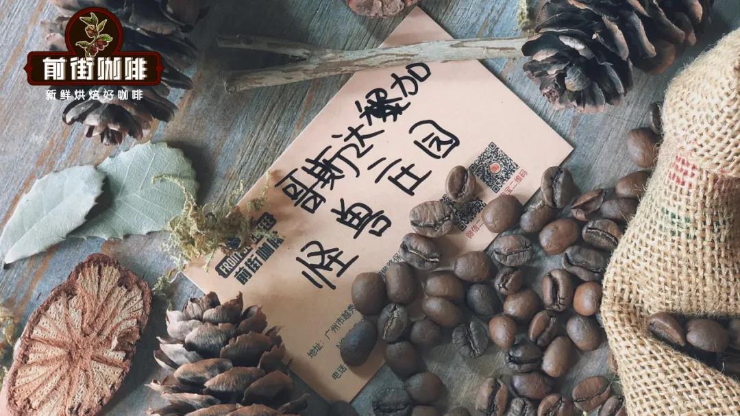 哥斯达黎加咖啡圣拉蒙怪兽庄园介绍  什么是无氧发酵日晒处理