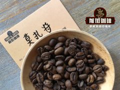 H1咖啡品种 厌氧蜜处理音乐家系列莫扎特咖啡豆冲煮参数风味分享