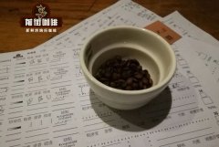 哥斯达黎加钻石系列微批次黑蜜处理咖啡豆 哥斯达黎加咖啡出口量