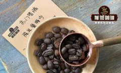 咖啡豆摆放多年就是陈年咖啡？陈年咖啡豆是如何陈年的？
