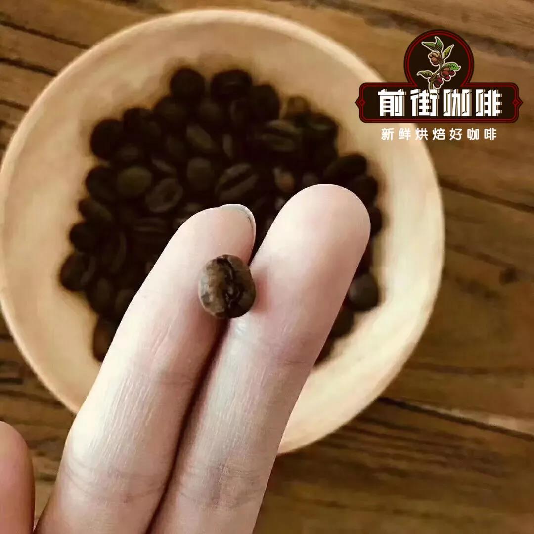 也门咖啡豆品种乌黛尼咖啡豆特点故事风味 也门摩卡咖啡风味介绍