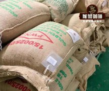 咖啡豆为什么会出油？PWN黄金曼特宁咖啡豆出油是因为采用中深烘