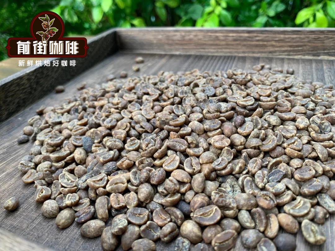 墨西哥咖啡产区瓦哈卡有什么咖啡豆 墨西哥咖啡最好的咖啡豆在哪