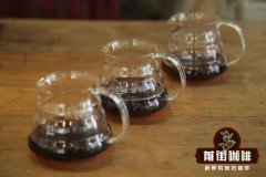 如何训练咖啡感官 怎样才能品尝出咖啡的风味？