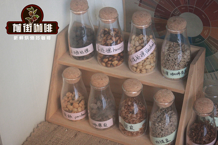日晒 水洗 半水洗 蜜处理法的咖啡豆风味口感特点有什么区别？