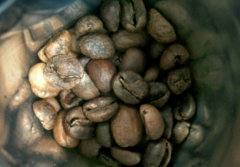 咖啡处理|什么是西蒙特殊处理法？埃塞古吉阿多拉咖啡豆西瓜味