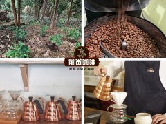 手冲咖啡如何调整冲煮手法 怎样调咖啡的正确方法 咖啡基础知识
