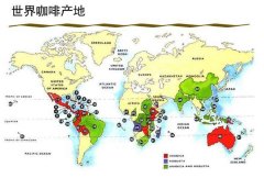 咖啡三大品种介绍 阿拉比卡咖啡豆罗布斯塔利比里卡咖啡特征区别