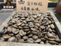 哥伦比亚紫卡杜拉咖啡风味口感特点 百香果厌氧水洗咖啡豆介绍