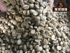 咖啡豆烘焙入门课程 咖啡生豆瑕疵豆如何辨别 咖啡豆有什么特点