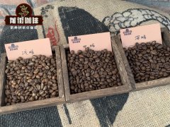 咖啡豆的新鲜度 咖啡豆出油了就不新鲜了吗？让咖啡豆变老的杀手