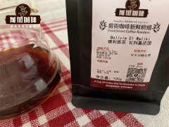 精品咖啡豆玻利维亚 玻利维亚咖啡是一匹黑马吗？