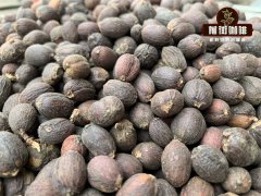 咖啡处理法 什么是处理法 咖啡的蜜处理是接近水洗还是日晒