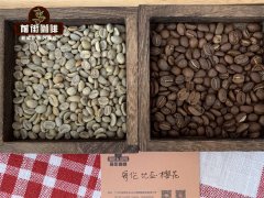 哥伦比亚咖啡是怎样的 哥伦比亚精品咖啡的等级划分