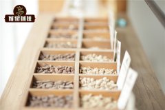 五大性价比手冲咖啡豆品牌推荐 新手入门手冲咖啡买什么咖啡豆好