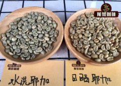 耶加雪菲咖啡豆产区及其处理 耶加雪菲口感特点要怎么冲煮才好喝