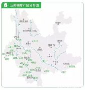 云南咖啡豆种风味口感特点描述以及种植产地 云南小粒的崛起