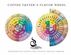 各种咖啡风味轮盘点 咖啡风味轮怎么看 如何用风味轮品鉴描述咖啡