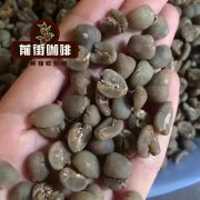  肯尼亚咖啡交易主要手段拍卖|肯尼亚咖啡豆历史发展故事NCE介绍