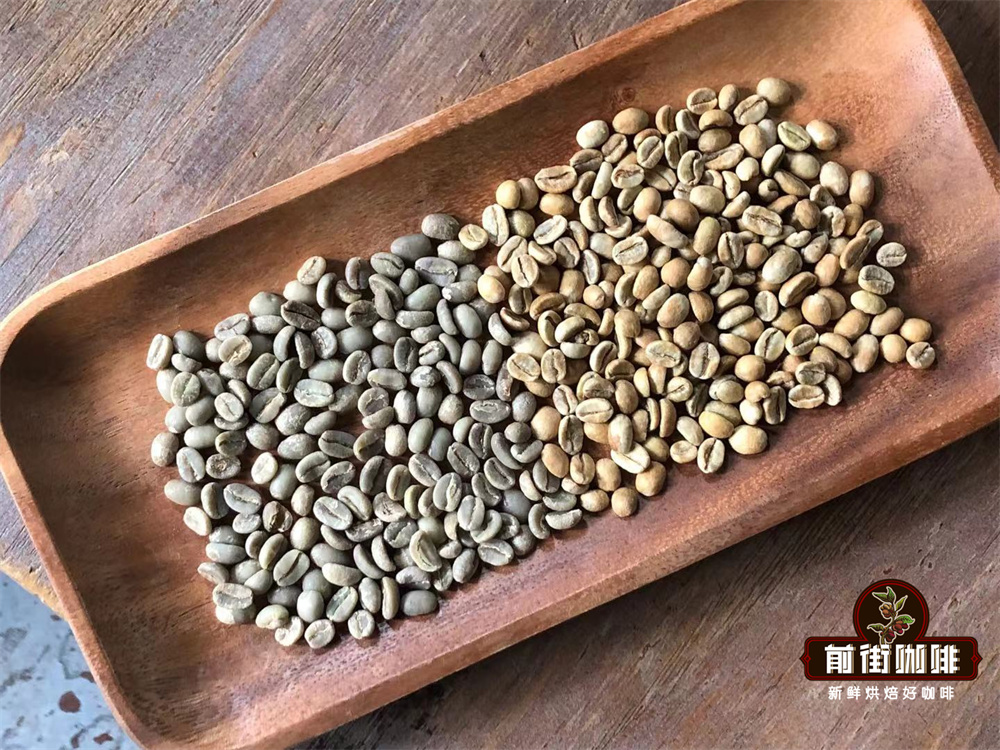 日晒和水洗处理咖啡豆风味区别 不同处理法咖啡豆烘焙建议