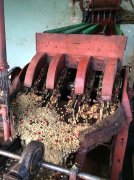哥伦比亚咖啡豆生产方式湿法加工步骤及原因 猫屎咖啡的营销策略