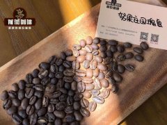 巴拿马沃努果庄园压力厌氧发酵处理瑰夏咖啡豆冲煮参数风味描述